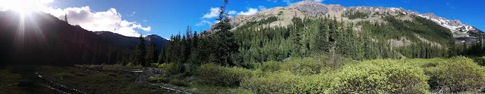 Lower Royal Meadow 1