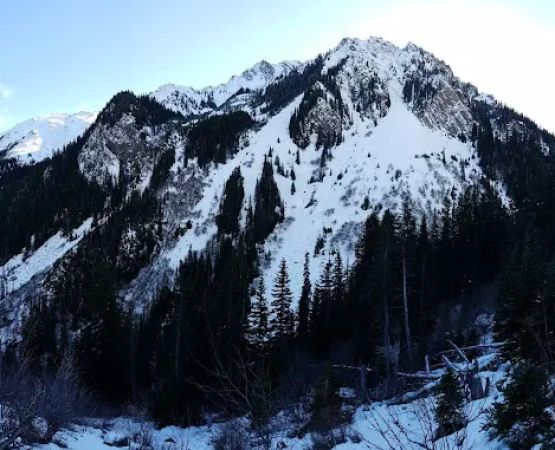 Royal Basin Campsite