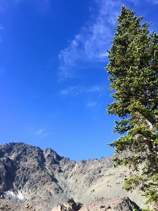 Royal Basin Campsite 8