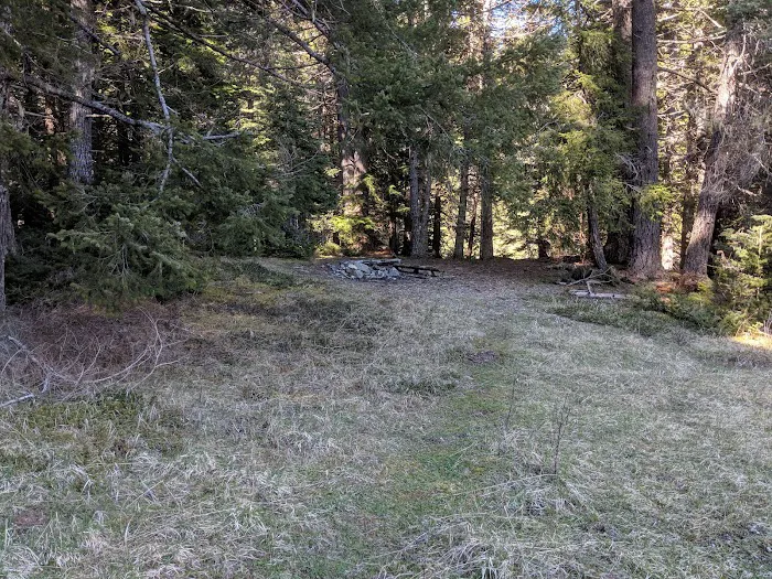 Camp Handy 8