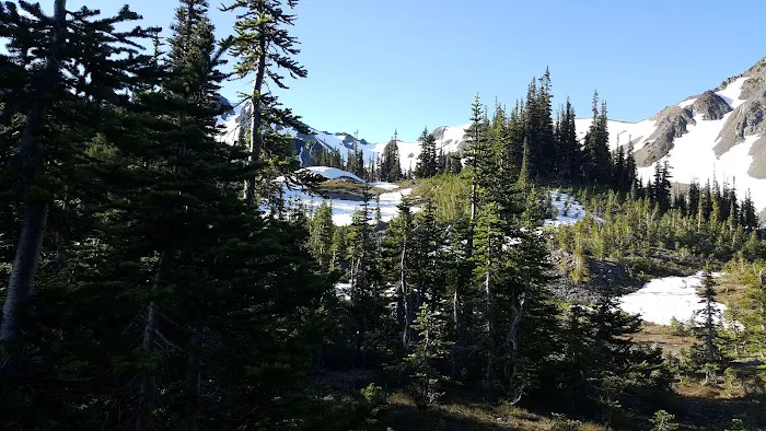 Upper Cameron 0