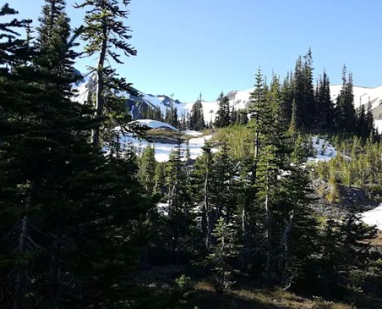 Upper Cameron