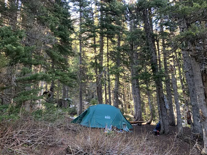 Camp Mystery 3