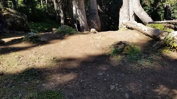Camp Mystery 4