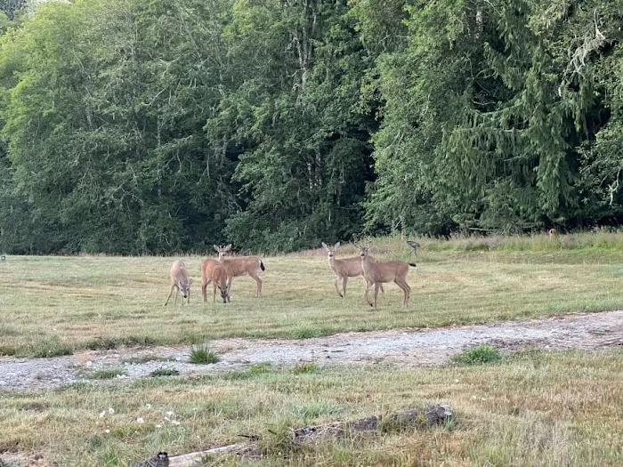 Frog Creek Meadow 1