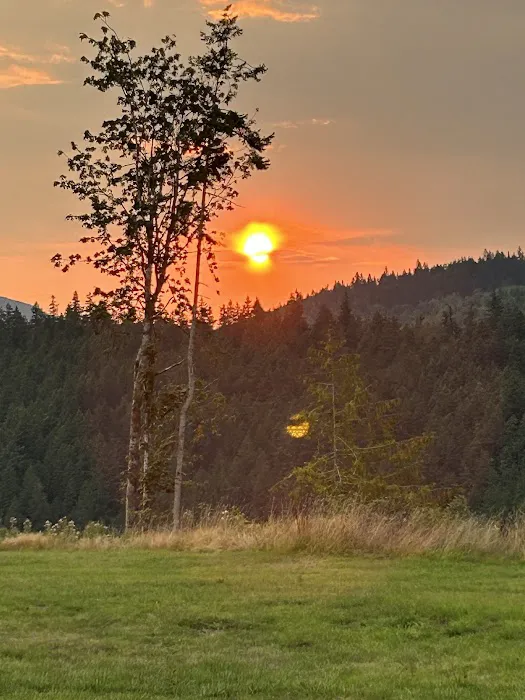 Frog Creek Meadow 3