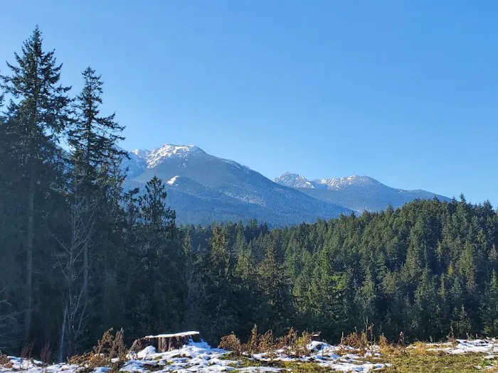 Frog Creek Meadow 7