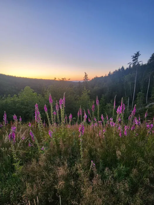 Frog Creek Meadow 0