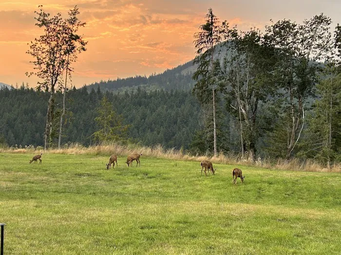 Frog Creek Meadow 5