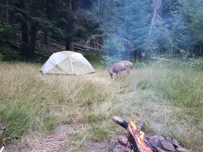 Humes Ranch 3