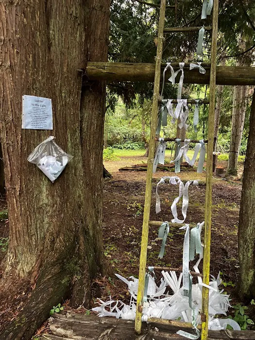 Hipcamp: “ 7 Acres Of Heaven “ 7