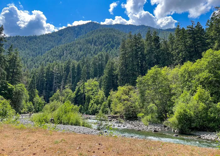 Elkhorn 2