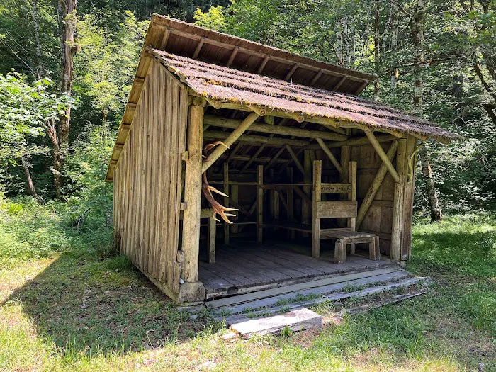 Elkhorn 4