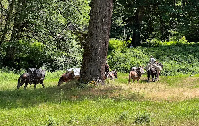 Elkhorn 3