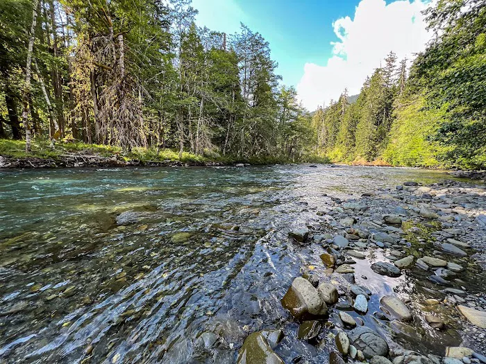 Elkhorn 6