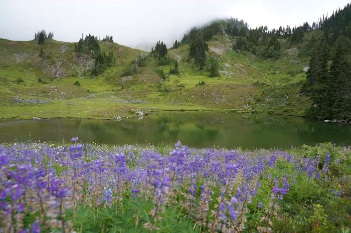 Heart Lake 1