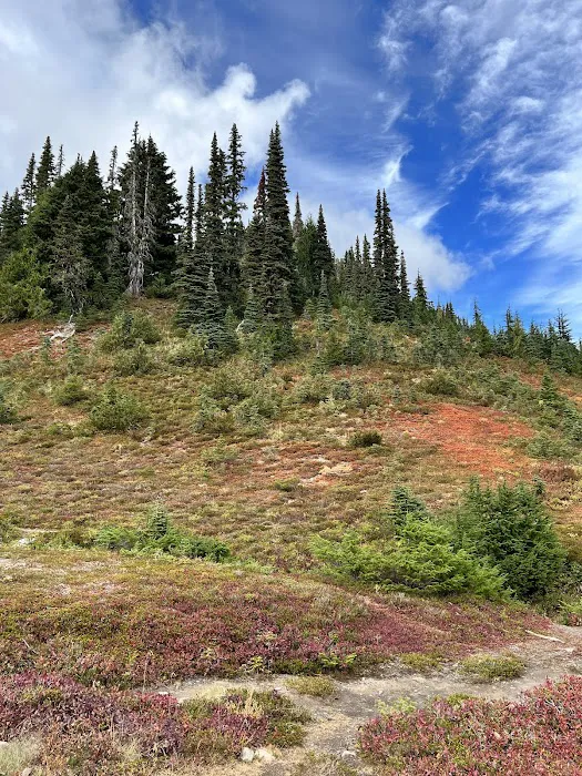 Heart Lake 5