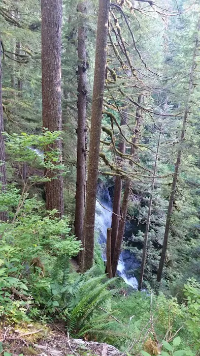 Martin Creek Stock Camp 3