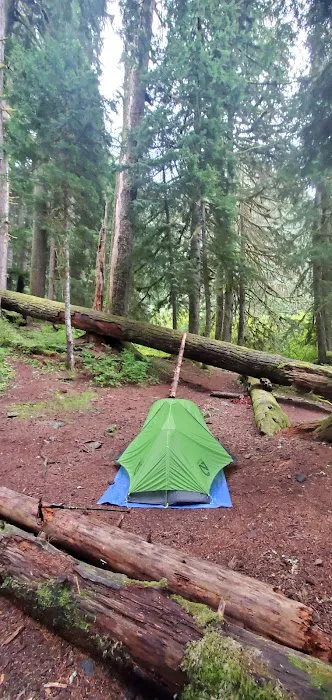 Martin Creek Stock Camp 4