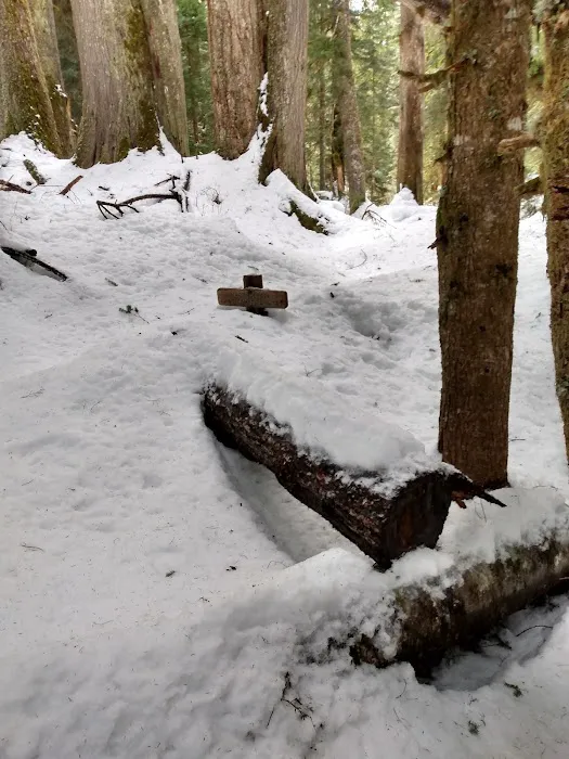 Martin Creek Stock Camp 1