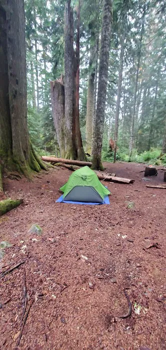 Martin Creek Stock Camp 5