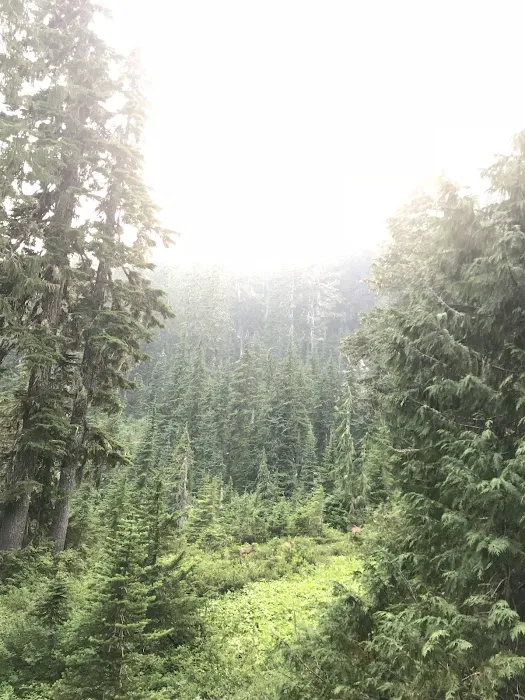 C. B. Flats Group Camp 2