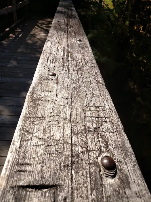Elk Lake 6