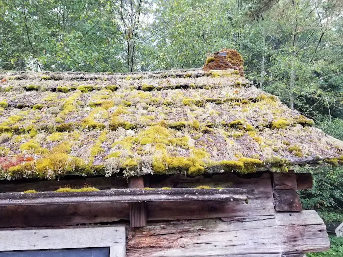 Sol Duc Park 4
