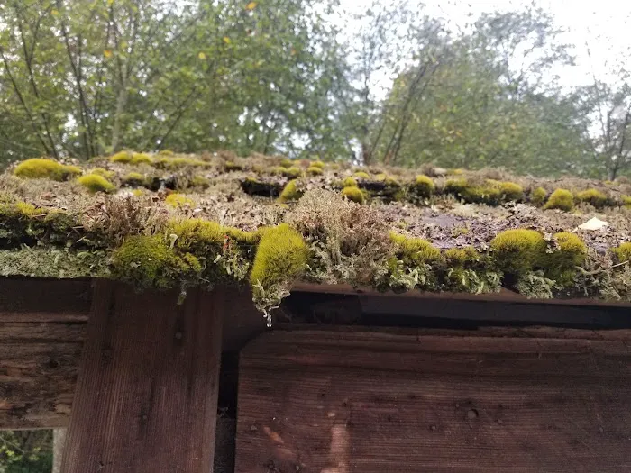 Sol Duc Park 3