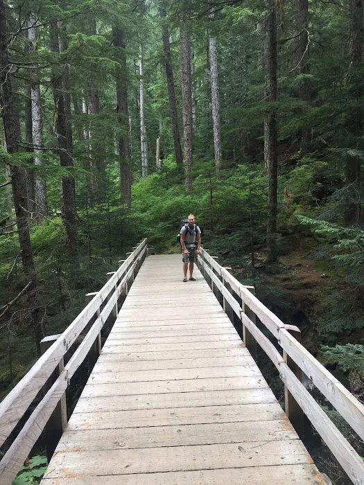 Upper Sol Duc Bridge 0