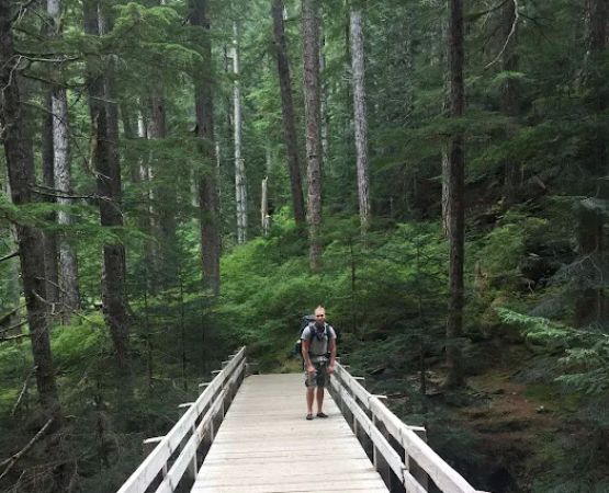 Upper Sol Duc Bridge