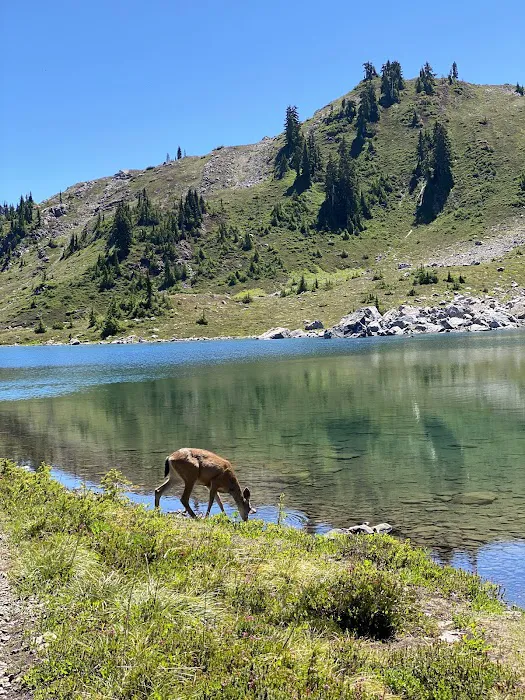 Lunch Lake 8