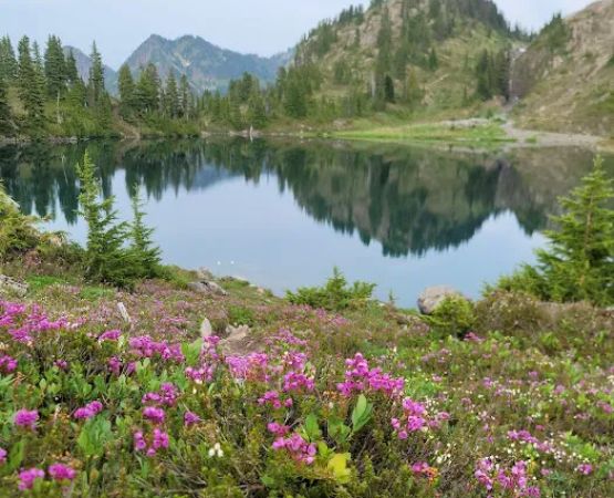 Lunch Lake