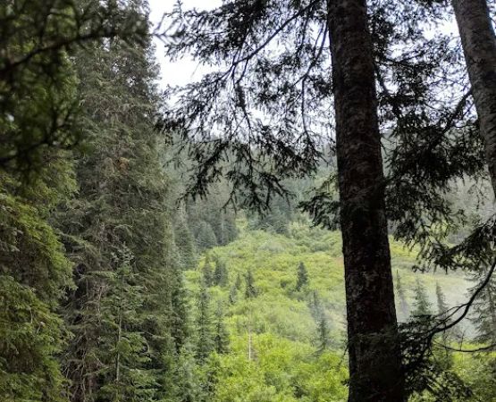 7 Mile Group Camp