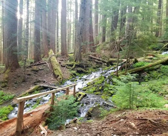 Horsehead Stock Camp