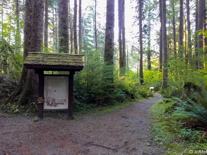 Klahowya Campground 6