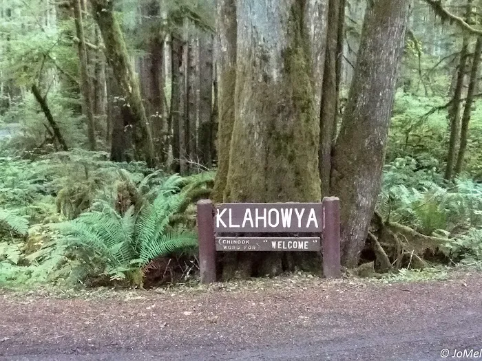 Klahowya Campground 4