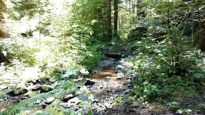 Littleton Horse Camp 8