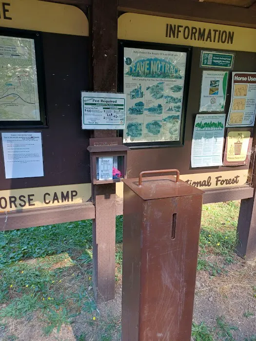 Littleton Horse Camp 6