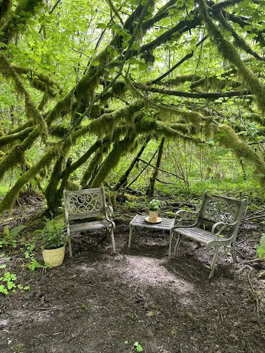 Misty Willow's Farm and Camp 9