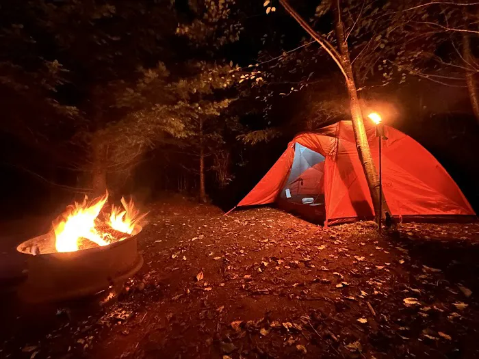 Misty Willow's Farm and Camp 1