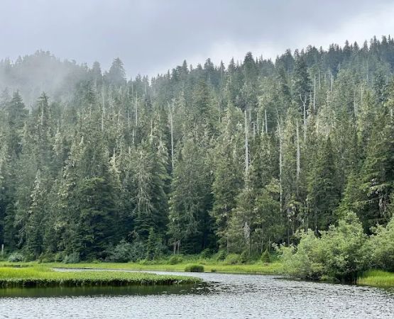 Mink Lake
