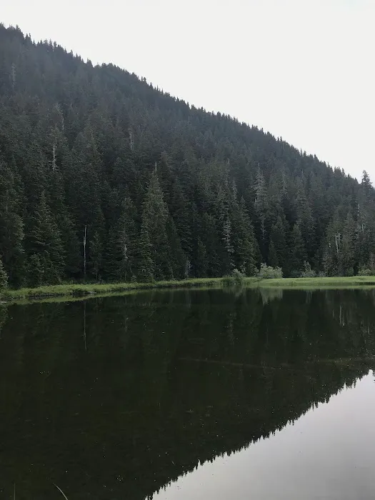 Mink Lake 5