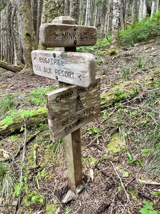 Mink Lake 8