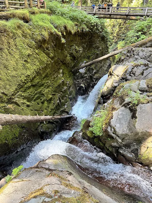 Sol Duc Campground Loop B Entrance 3