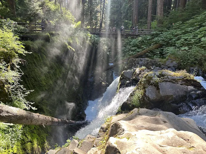 Sol Duc Campground Loop B Entrance 7