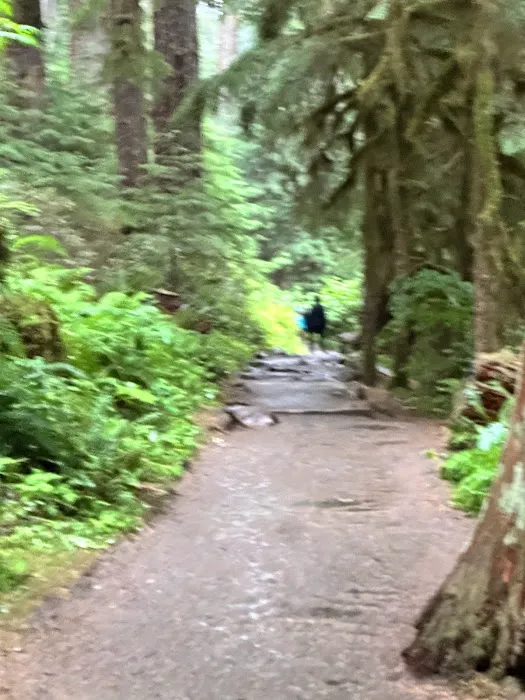 Sol Duc Campground Loop B Entrance 6