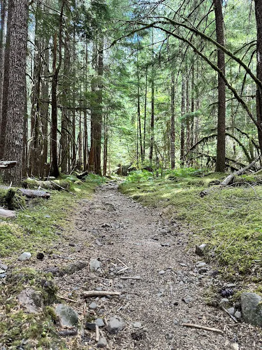 Sol Duc Campground Loop B Entrance 8