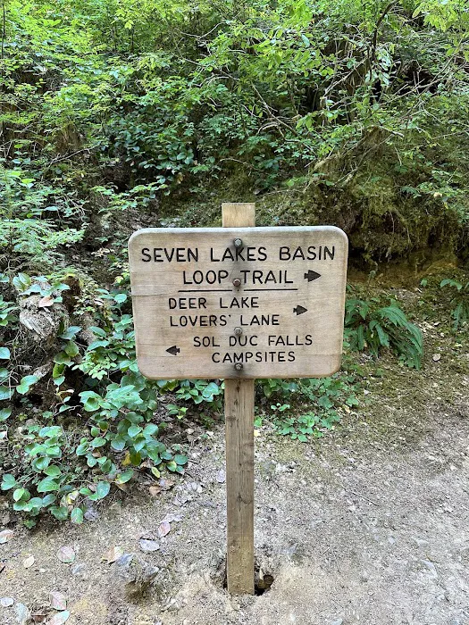 Sol Duc Campground Loop B Entrance 5