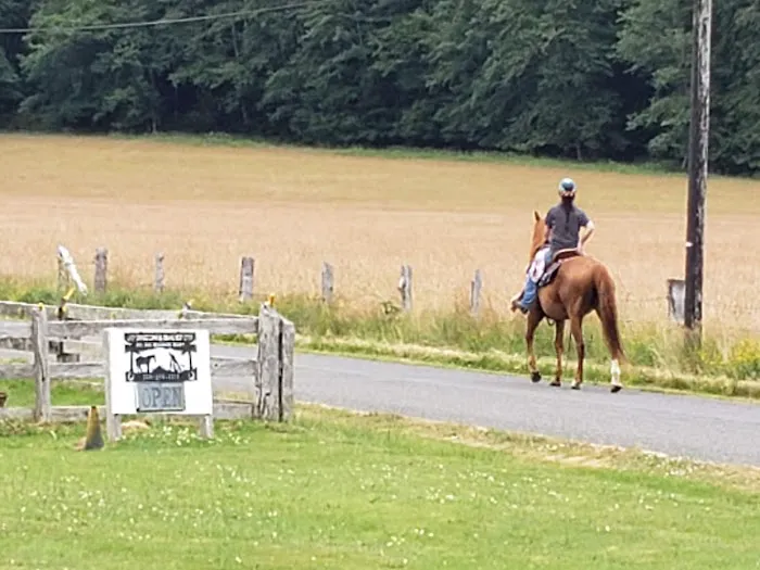Last Chance Camp Equine Rest Stop 1